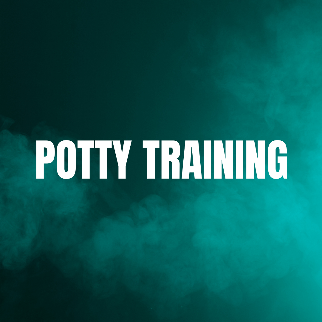Potty Training - The Moon Brand™