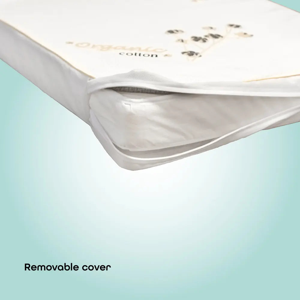 MOON Dream Home & Travel Plus Bundle