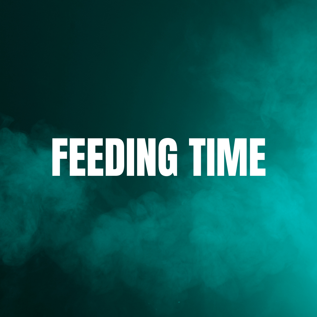 Feeding Time