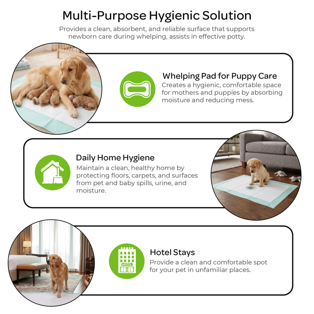 MOON Pawzi Pet Training Pads – Super Absorbent