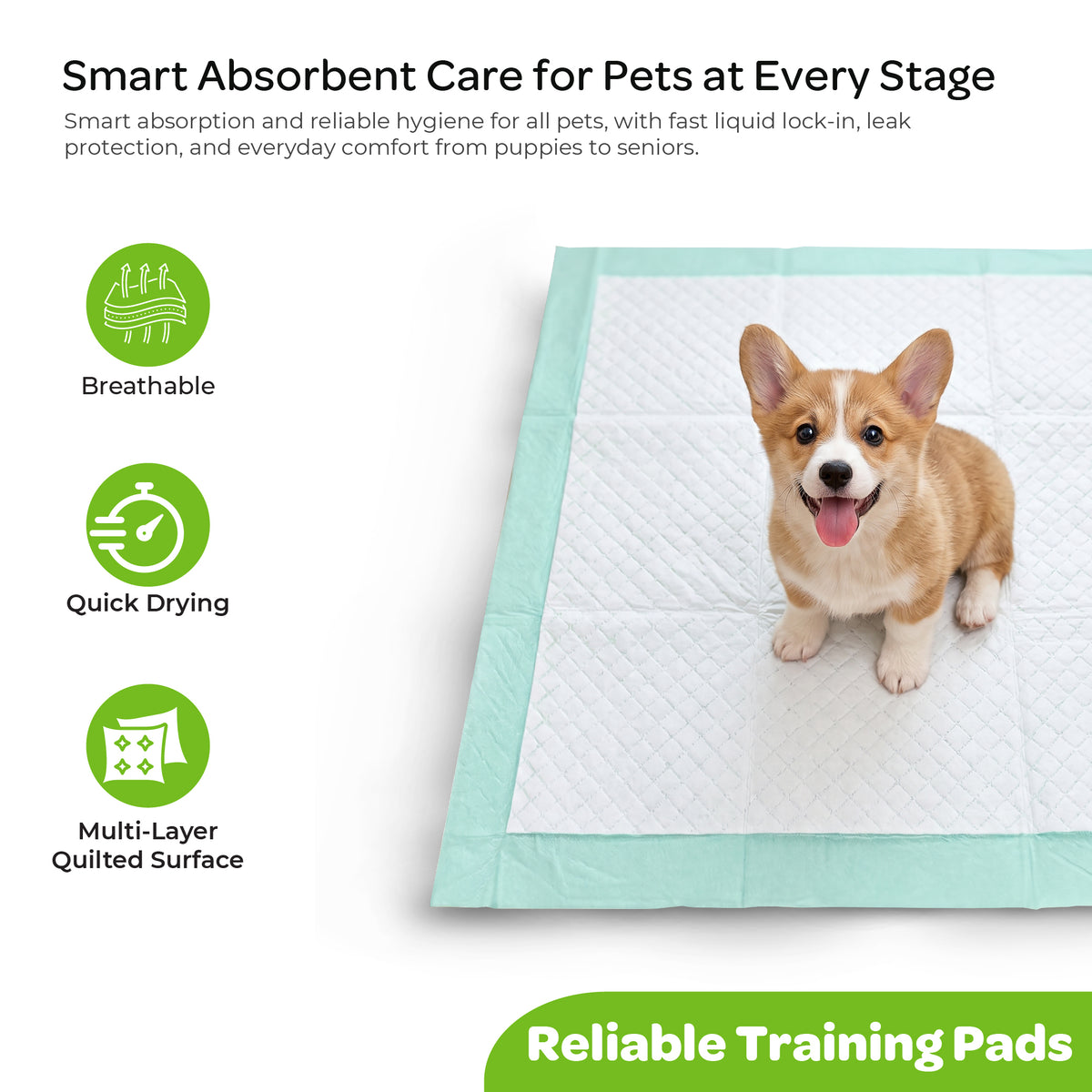 MOON Pawzi Pet Training Pads – Super Absorbent