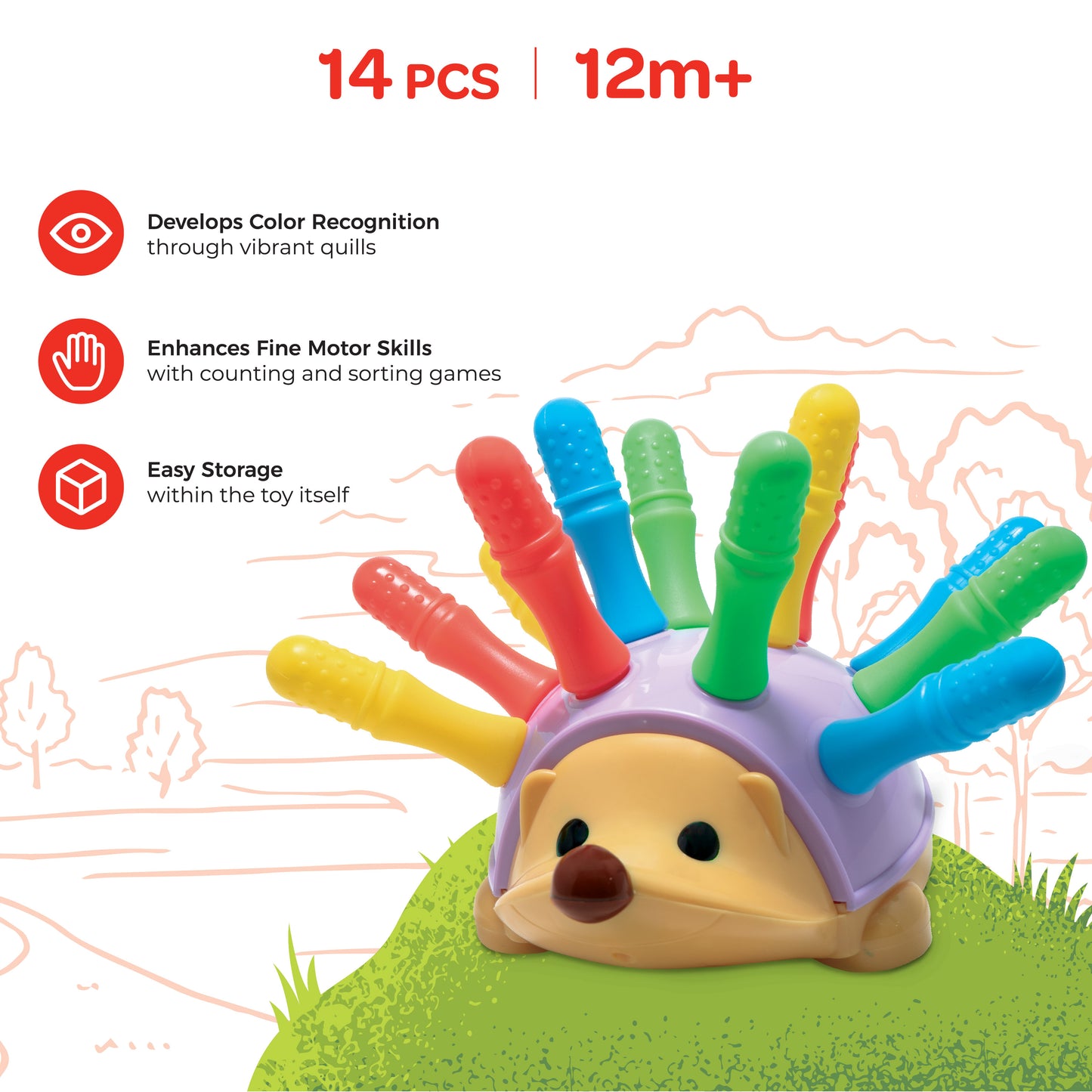 My Hedgehog.